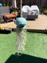 Load image into Gallery viewer, Air Plant! Hanging Ceramic Blue Jelly Fish With Live Spanish Moss Plant.
