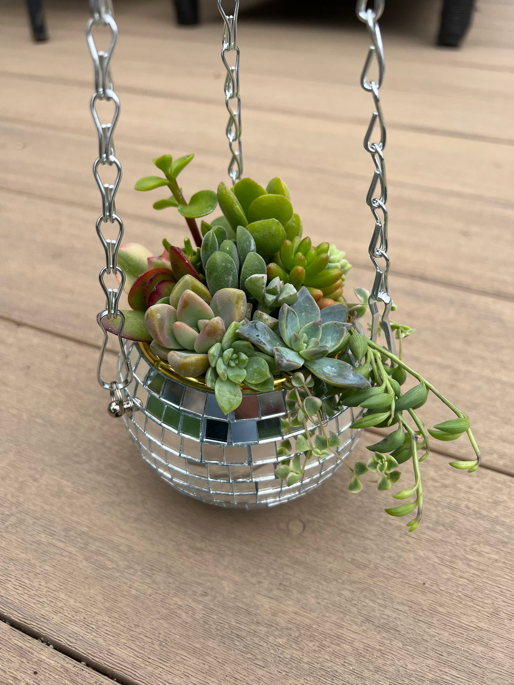 Disco ball hanging planter, Comes With A Assortment of Succulent Cuttings to Make Your Own Planter