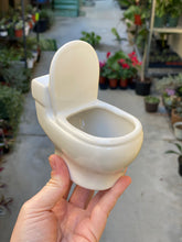 Load image into Gallery viewer, Ceramic Toilet Planter, Comes With A Assortment of Succulent Cuttings to Make Your Own Planter
