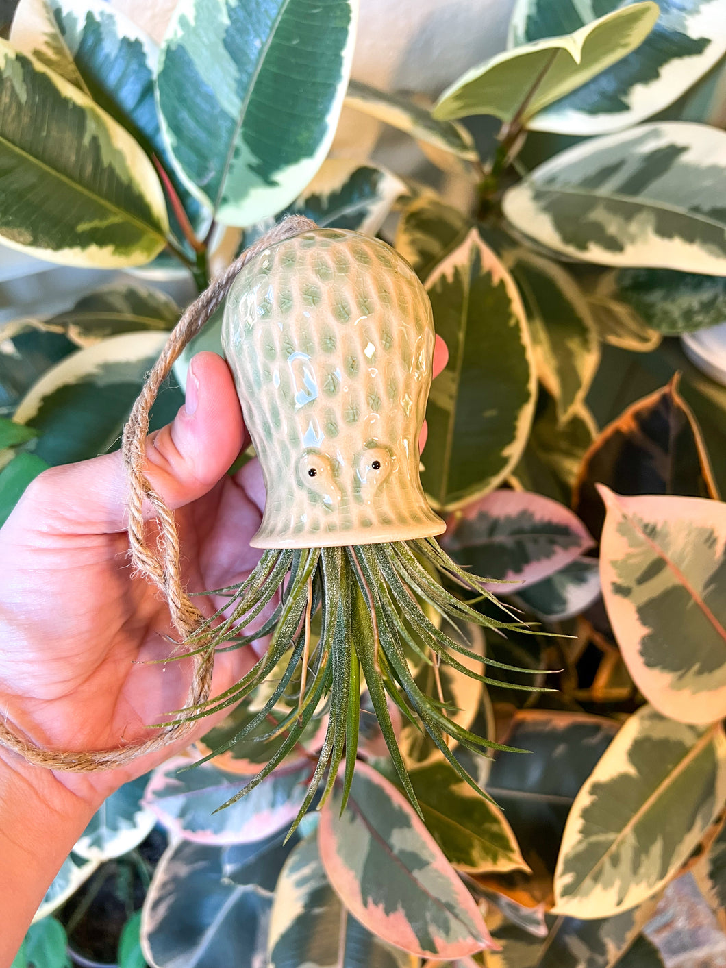 Ceramic octopus air plant holder (Air plant not included)