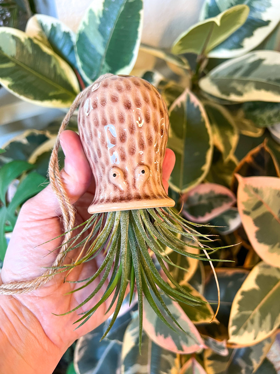 Ceramic octopus air plant holder (Air plant not included)