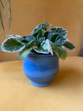 Load image into Gallery viewer, Ceramic Self Watering Planter (Blue)
