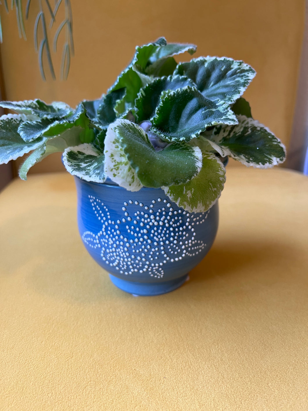 Ceramic Self Watering Planter (Blue w/ pattern)