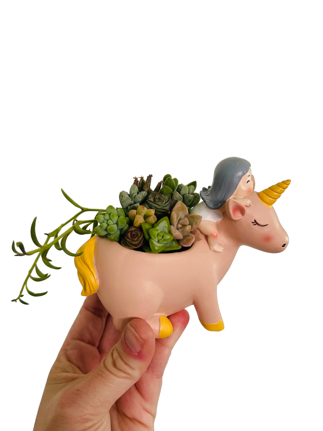 Unicorn planter, Comes With A Assortment of Succulent Cuttings to Make Your Own Planter