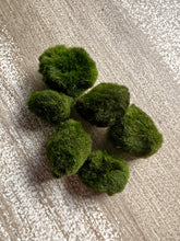 Load image into Gallery viewer, Marimo moss balls Live aquarium plant 1” (Remember to order heat packing if needed)
