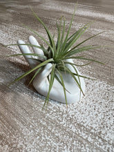 Load image into Gallery viewer, Air Plant holder ceramic hand
