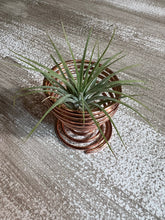 Load image into Gallery viewer, Air Plant holder in rose gold
