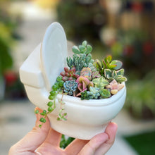 Load image into Gallery viewer, Ceramic Toilet Planter, Comes With A Assortment of Succulent Cuttings to Make Your Own Planter
